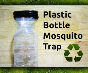 Armadilha para mosquitos