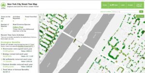 New York City Street Tree Map